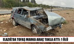 Elazığ-Baskil yolunda kaza: 1 kişi hayatını kaybetti