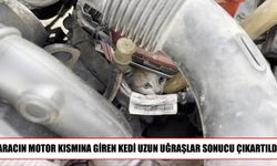 Elazığ’da otomobilin motoruna giren yavru kedi kurtarıldı