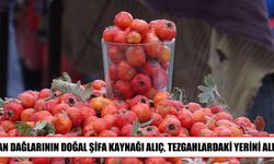 Van’da kışın habercisi alıç tezgahlarda