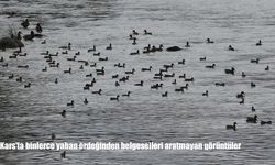 Kars’ta binlerce yaban ördeğinden belgeselleri aratmayan görüntüler