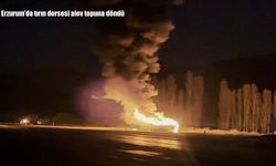 Erzurum'da tırın dorsesi alev topuna döndü