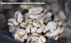 Elazığ'da badem şekerini kıskandıracak lezzet: Cevizli şeker