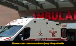 Görev sırasında rahatsızlanan Uzman Çavuş Güneş şehit oldu