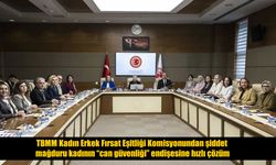 TBMM Komisyonu şiddet mağduru kadının talebini çözüme kavuşturdu
