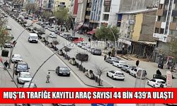 Muş’ta araç sayısı 44 bini aştı
