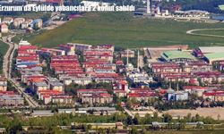 TÜİK açıkladı: Erzurum’da yabancılara 2 konut satıldı