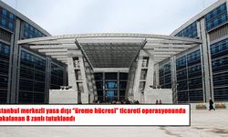 İstanbul merkezli 14 ilde yasa dışı “üreme hücresi” operasyonu: 8 tutuklama