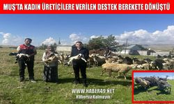 Muş’ta kadın üreticilere verilen küçükbaş hayvan desteği üretime dönüştü