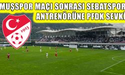 Sebat Spor antrenörü Kahraman, PFDK’ya sevk edildi