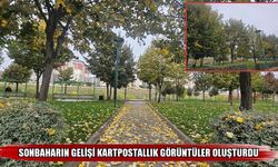 Muş’un dört bir yanında büyüleyici görüntüler