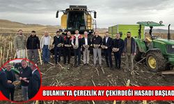 Bulanık’ta çerezlik ay çekirdeği hasadı başladı
