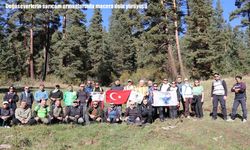 Doğaseverlerin sarıçam ormanlarında macera dolu yürüyüşü