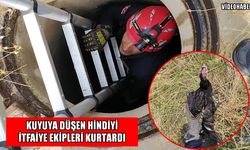 Muş’ta kuyuya düşen hindi kurtarıldı