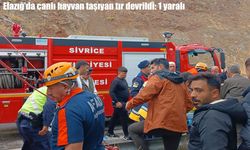 Elazığ'da canlı hayvan taşıyan tır devrildi: 1 yaralı