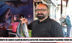 Elazığ’da palamuda yoğun ilgi: Kilosu 250 lira