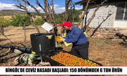 Solhan’da ceviz hasadı başladı: Hedef 6 ton ürün