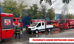 Gaziantep’te pamuk fabrikası alevlere teslim oldu