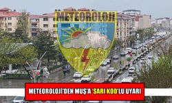 Meteoroloji’den Muş’a ‘Sarı Kod’lu uyarı: Kuvvetli yağış geliyor