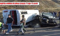 Bingöl'de midibüs ile pikap çarpıştı: 1'i ağır 12 yaralı