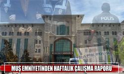 Muş'ta bir haftada 8 bin 515 kişi sorgulandı, onlarca şüpheli yakalandı!