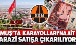 Muş’taki karayolları arazisi özelleştirme kapsamına alındı