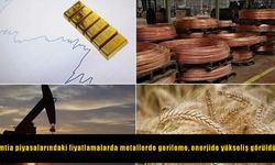 Emtia piyasalarında metaller düştü, enerji fiyatları yükseldi