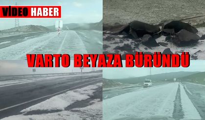 Mayıs ayında dolu yağdı, Varto  beyaza büründü