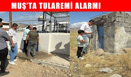 Muş’ta 'Tularemi' endişesi: Sağlık Müdürlüğü ekipleri çalışmalara başladı