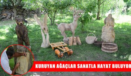 Muş’ta kuruyan ağaçlar ve kireç taşları sanat eserine dönüşüyor