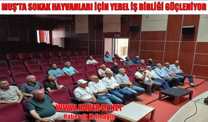 Varto’da sahipsiz hayvanlar için yeni planlama