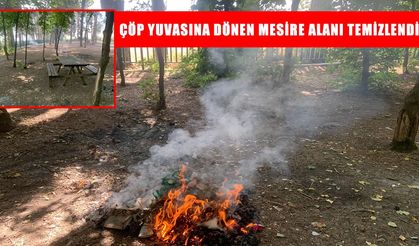 Muş’ta çöplüğe dönen Karasu Mesire Alanı temizleniyor