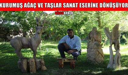 Varto’da kurumuş ağaç ve taşları sanat eserine dönüştürüyor