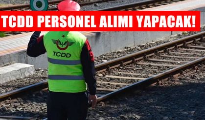 TCDD 780 İşçi Alımı Yapacak: Başvuru Şartları ve Kadrolar Açıklandı