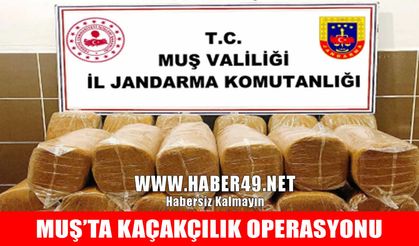 Malazgirt’te 90 kilo kaçak tütün ele geçirildi