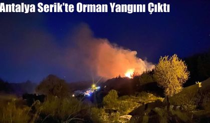 Antalya Serik’te Orman Yangını Çıktı