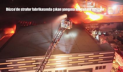 Düzce'de strafor fabrikasında çıkan yangına müdahale ediliyor