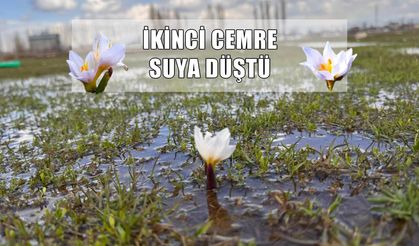 Geri sayım başladı: İşte son Cemre’nin düşeceği o tarih