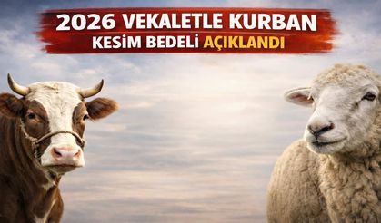 Vekaletle kurban kesim ücretleri açıklandı