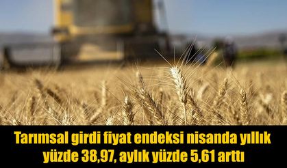 Nisan verileri açıklandı: Tarımda maliyetler yükselmeye devam ediyor