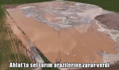 Ahlat'ta çiftçinin bir yıllık emeği sular altında kaldı