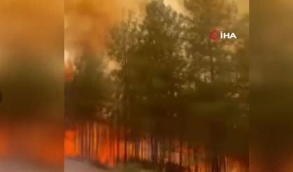 İletişim Başkanlığı açıkladı: 29 Temmuz’dan bu yana 206 yangına müdahale edildi