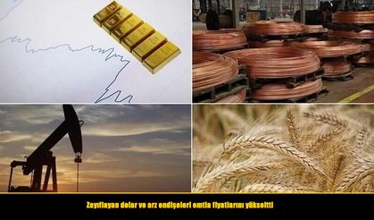Zayıflayan dolar ve arz endişeleri emtia fiyatlarını yükseltti