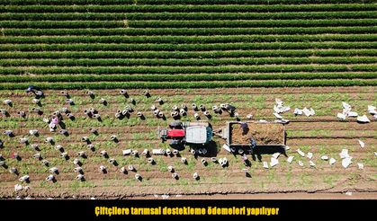 Çiftçilere tarımsal destek ödemesi müjdesi