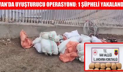 Bakanlık son dakika duyurdu: Van'da yarım tondan fazla zehir ele geçirildi!