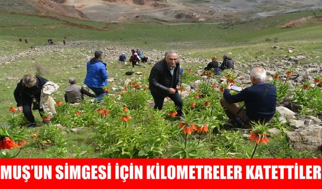 Trabzon'dan Muş'a ters lale yolculuğu: 94 fotoğraf tutkunu 1800 rakımlı zirvede buluştu