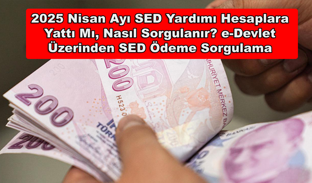 2025 Nisan Ayı SED Yardımı Hesaplara Yattı Mı, Nasıl Sorgulanır? e-Devlet Üzerinden SED Ödeme Sorgulama