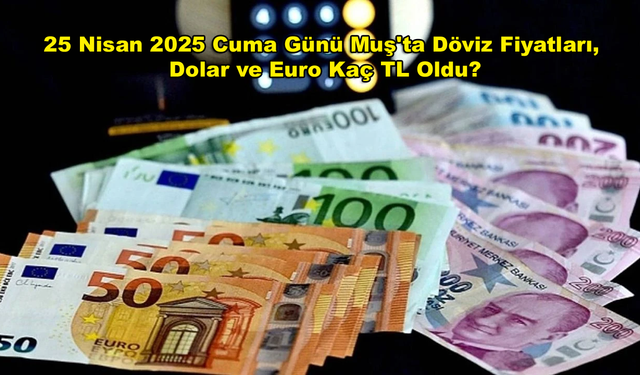 25 Nisan 2025 Cuma Günü Muş'ta Döviz Fiyatları, Dolar ve Euro Kaç TL Oldu?