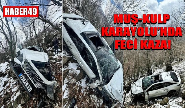 Muş-Kulp kara yolunda kontrolden çıkan araç uçuruma yuvarlandı