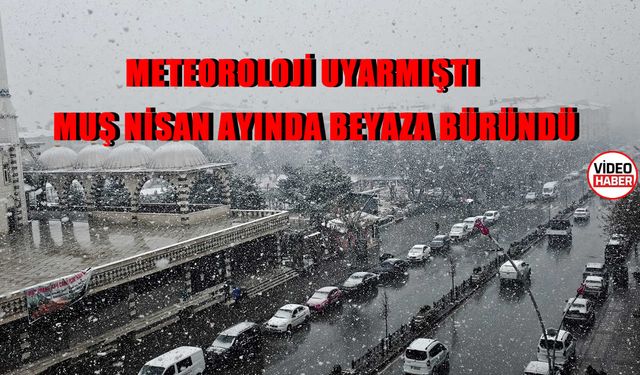 Muş, nisan ayında beyaza büründü