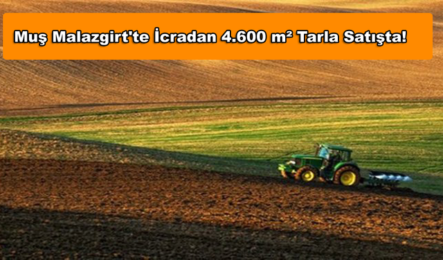 Muş Malazgirt'te İcradan 4.600 m² Tarla Satışta!